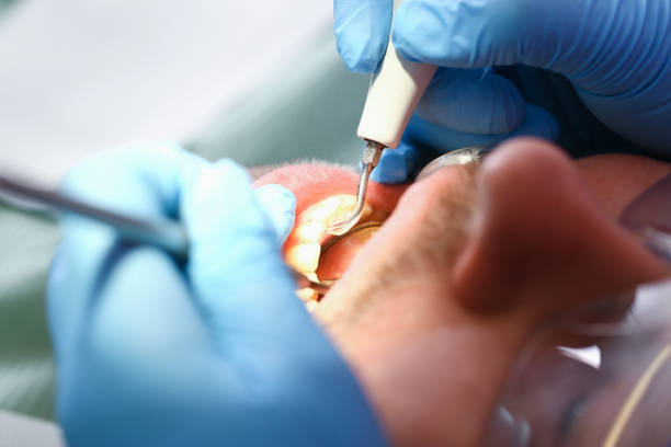 Best Walk-In Emergency Dental Services in Lauderdale, MN